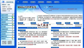 什么是“动易”