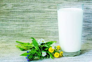 最有营养的牛奶是哪种