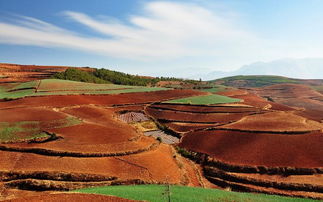 昆明红土地农资有限公司