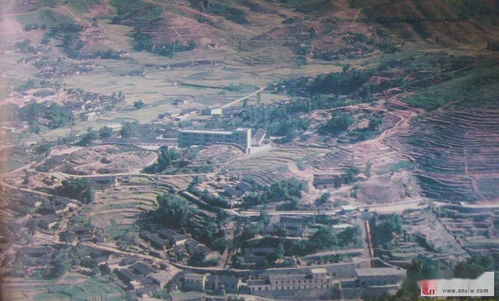 安溪SEO?谁最厉害?