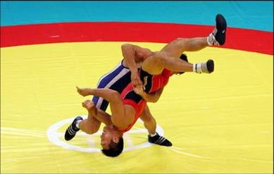 那里有中文翻译的美国摔跤比赛的网站