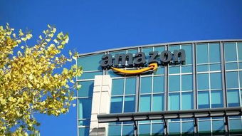 现在小本投资好项目有什么?