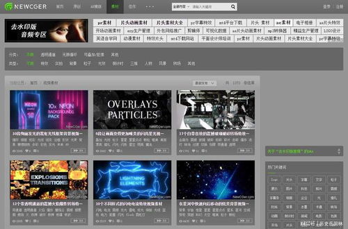 怎么在网站下载视频,网络视频下载