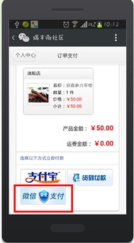 微支付下载安装,微支付是什么意思