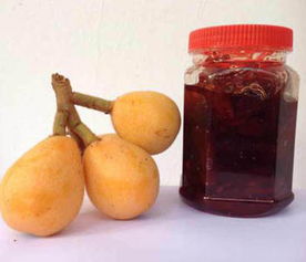 久咳不愈的特效偏方，川贝枇杷膏怎么熬制