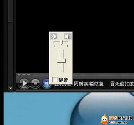 ppstream是什么东西？有病毒吗