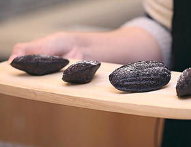 黑贝壳是什么？