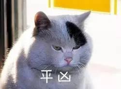 为什么猫会怕黄瓜？