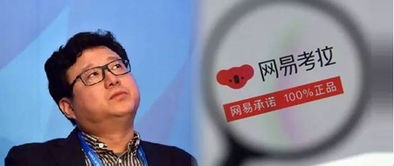 梦幻西游丁三石是什么意思哦？