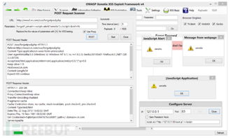 怎样给网站做整站漏洞扫描?