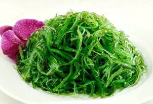 什么是裙带菜是海带吗