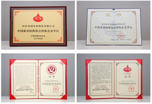 中国质量检验协会的主要职责有哪些？