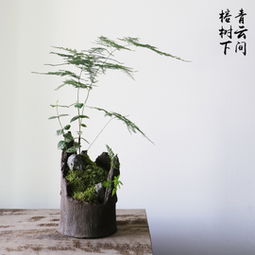 榕树下文学网现在怎么样