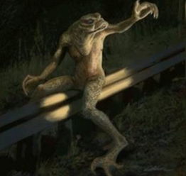 全球十大神秘生物究竟都是什么？为什么说是神秘生物？