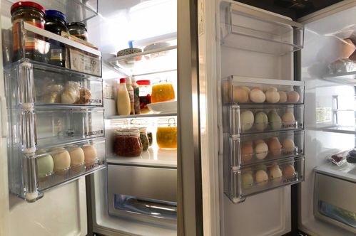 高端冰箱哪个品牌最好