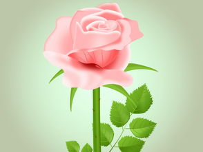 有关花信之年的古诗有哪些？