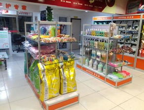 开宠物店投资多少钱,现在开宠物店赚钱吗