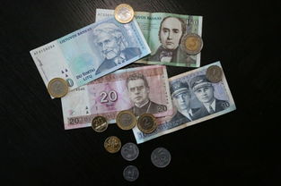 立陶宛用什么货币？
