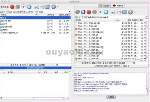 常用的FTP 客户端软件