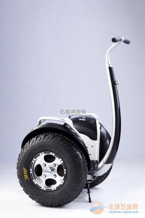 两轮自平衡电动车有哪几种品牌？