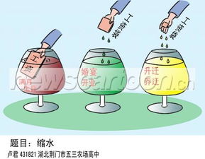 缩水是什么意思?