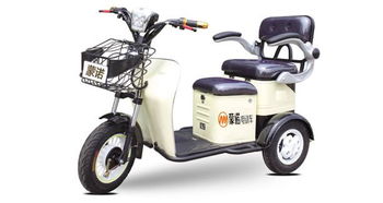 中国电动三轮车十大品牌是那些？