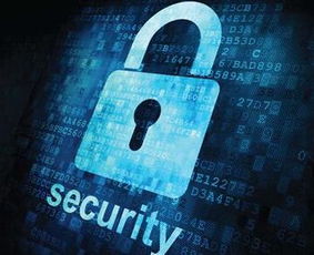 什么是安全漏洞