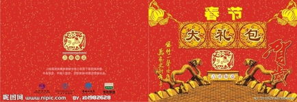 DNF今年春节礼包都有什么啊?