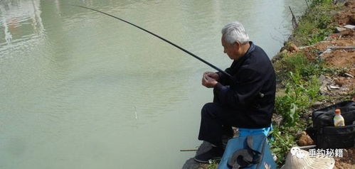 钓鱼浮漂有几种