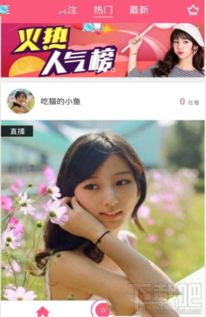 哪里 看 周杰伦 miss 直播