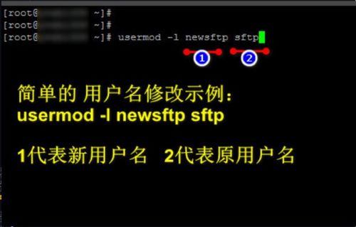 linux修改用户名的命令