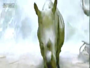 人死后去哪里了,有来生吗,人死后去哪里为什么头七才回来