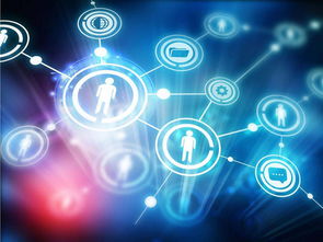 互联网提供哪些服务