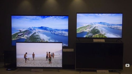 荣耀电视系列怎么选择？