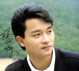 张国荣的详细资料