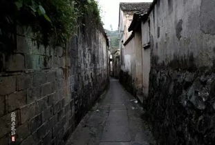 歌词有“每条大街小巷……”的一首过年的歌叫什么名字