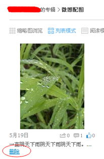 际通宝,际通宝 张阳平