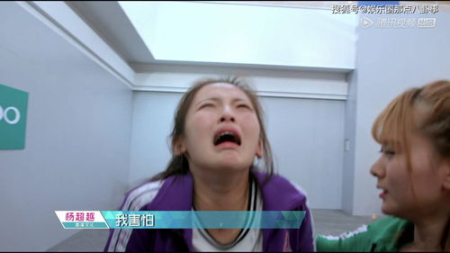 宠幸是什么意思？