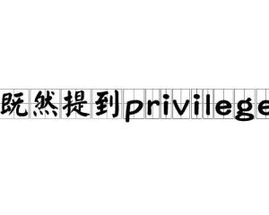 @Privilege是什么框架的注解