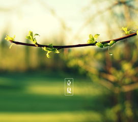 2017年立夏是什么时辰