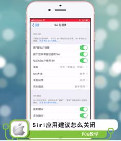 siri应用建议是什么意思