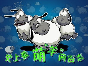 云和绵羊的故事的介绍