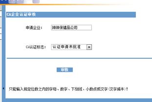 ca认证怎么网上办理,ca认证去哪里办理