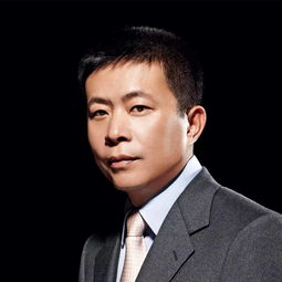 ceo cto cio coo cho cfo cmo,ceo cfo coo是什么职位