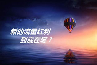 窗口红利期是什么意思