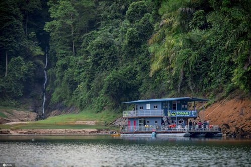 世界最大面积的湖泊是什么湖？