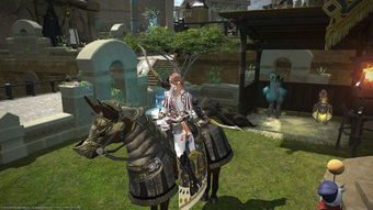 专属陆行鸟任务怎么做最终幻想 ff14陆行鸟