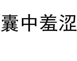 囊中羞涩意思是什么