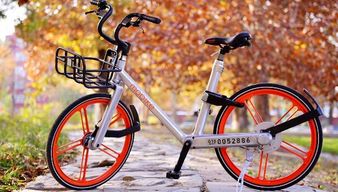 摩拜单车的锁多少钱一个