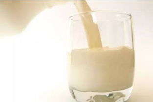 哪款纯牛奶比较好